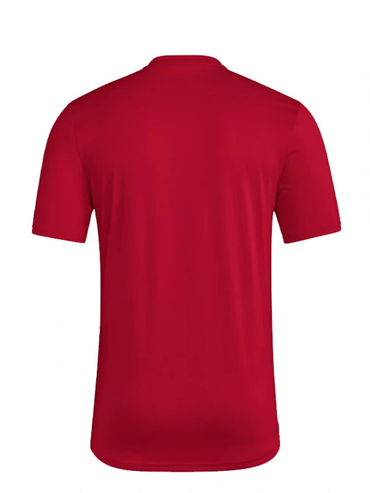 RECREATED Nike Indiana Hoosiers 2025 participant t-shirt in red celebrating National Champions title